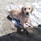 3 meses y por primera vez en la playa!!!